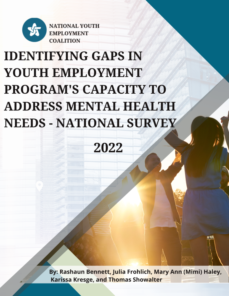 Report cover: youth employment, mental health survey