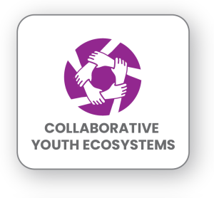 Collaborative Youth Ecosystems